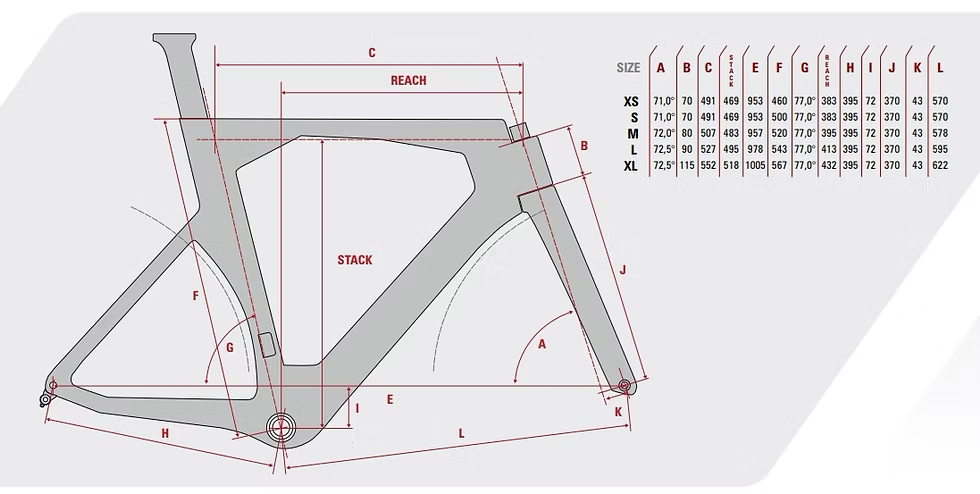Baldiso T1 – Triatlón (Edición Limitada)