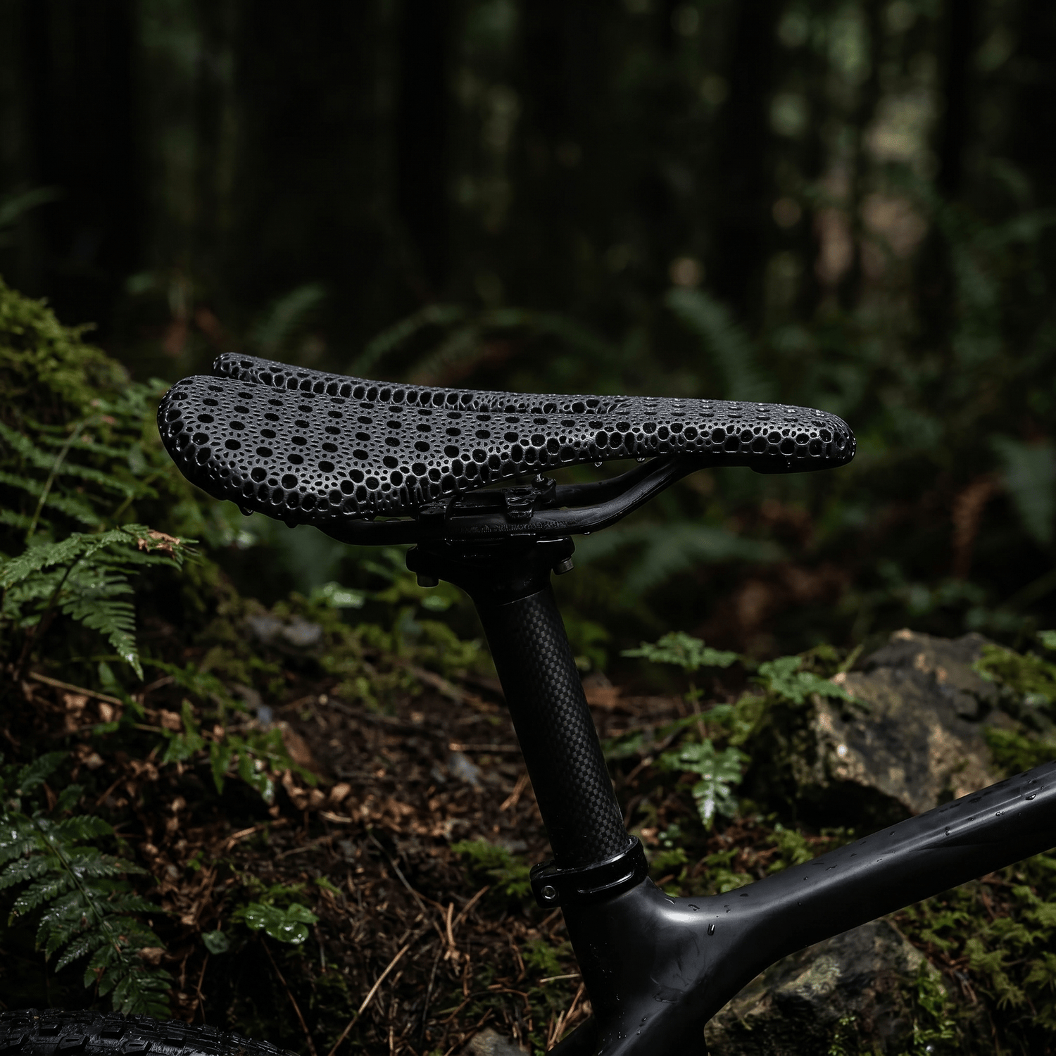 BJŌRN CYCLES - EuroCycling Mexico