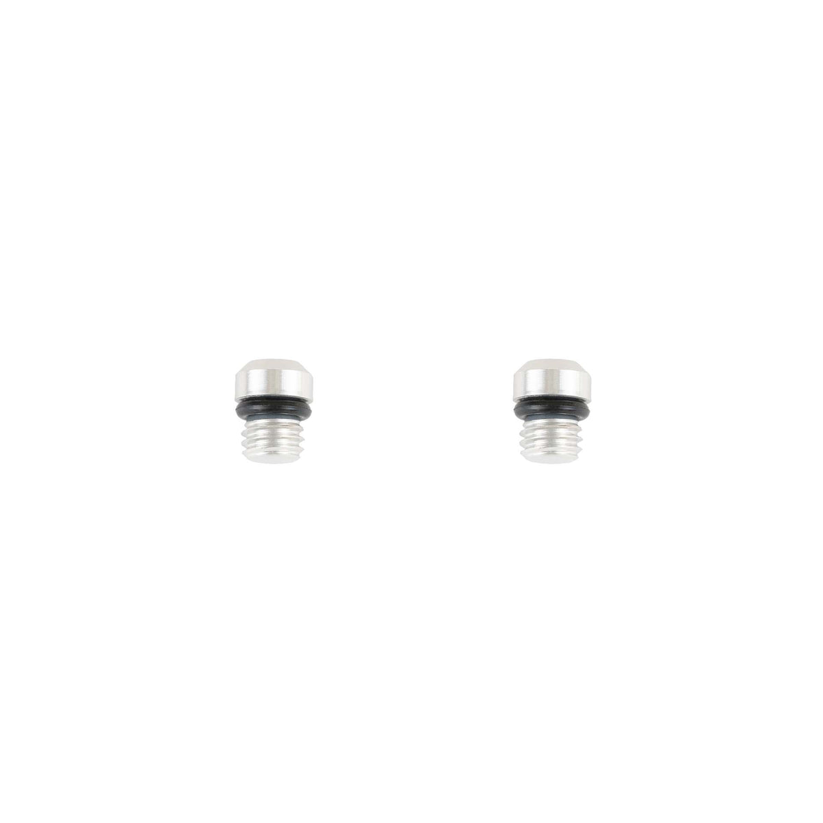 Tornillos de purga M5 T10 plata con o-rings · 2 pz
