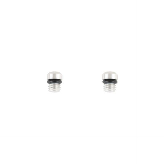 Tornillos de purga M5 T10 plata con o-rings · 2 pz