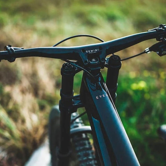 POLLUX – DH