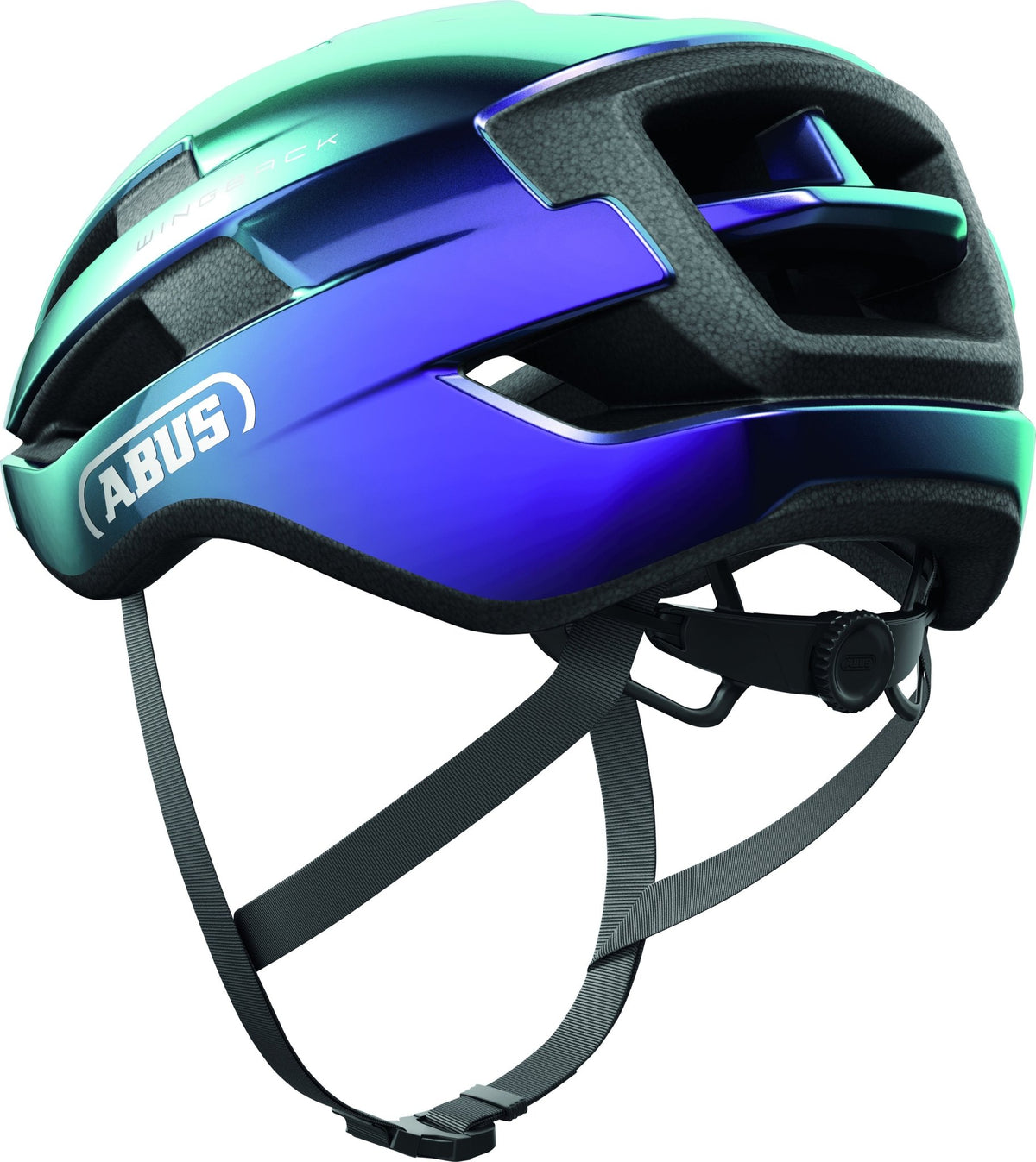 Wingback - EuroCycling Mexico